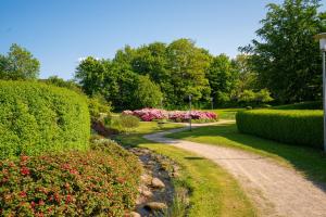 un chemin traversant un jardin avec des buissons et des fleurs dans l'établissement Parkvejens feriebolig, à Bindslev