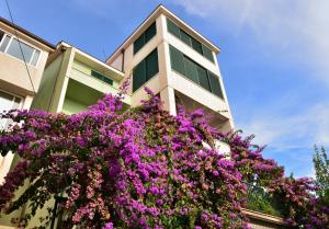 un edificio con flores púrpuras delante de él en Apartments Mustapic, en Makarska