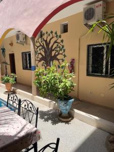 een patio met een tafel en stoelen en een plant bij Sall Africa Tourisme in Mbour