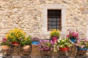 A garden outside Metohi Nature Living