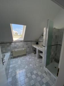 ein Bad mit einer Dusche, einem Waschbecken und einem Fenster in der Unterkunft Ferienhaus Busch in Leipzig