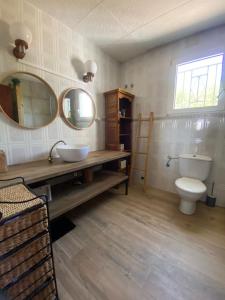 トルトーザにあるChalet en plena naturalezaのバスルーム(トイレ、洗面台、鏡付)