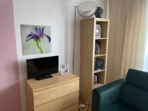 ein Wohnzimmer mit einem TV und einem Bücherregal in der Unterkunft Ferienwohnung Stadtmitte Würzburg in Würzburg