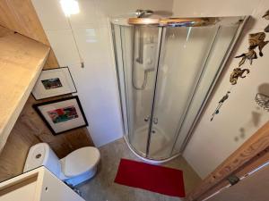 a small bathroom with a shower and a toilet at Creative Art Cabin, Causeway Coast, beach 10 mins in Articlave