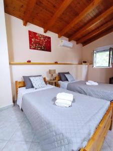two beds in a room with wooden ceilings at Villa Serenity in Vovikes