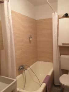 Ένα μπάνιο στο Ferienwohnung Stadtmitte Würzburg