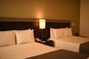Postel nebo postele na pokoji v ubytování Mi Hotel Sandiego