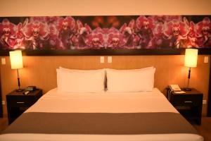 Postel nebo postele na pokoji v ubytování Mi Hotel Sandiego