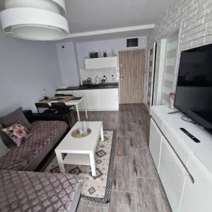 Kuchyňa alebo kuchynka v ubytovaní APARTAMENT - PORTA MARE - LEŚNE TARASY - 45B/2