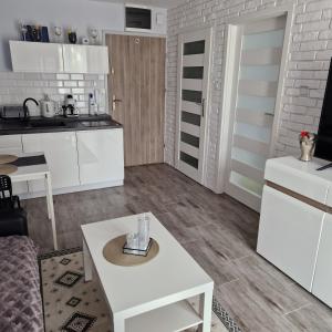 Kuchyňa alebo kuchynka v ubytovaní APARTAMENT - PORTA MARE - LEŚNE TARASY - 45B/2