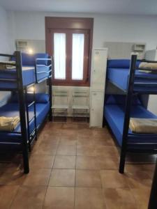 een kamer met blauwe stapelbedden en een raam bij Albergue Miraiso in Arzúa