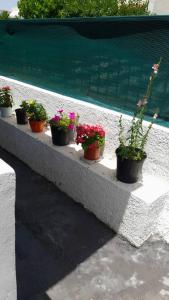 a row of potted plants sitting on a ledge at Victory's house, 3min walk to Skala's sandy beach in Skala