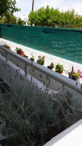 a fence with potted plants on it at Victory's house, 3min walk to Skala's sandy beach in Skala