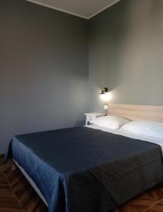 科里利亞諾卡拉布羅的住宿－FRABORGO，一间卧室配有一张带蓝色毯子的床