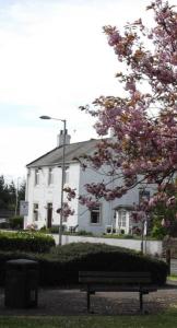 a bench sitting in front of a white building at Kirkcroft Guest House in Gretna