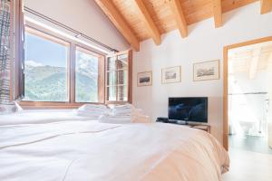 1 dormitorio con 1 cama grande y TV en Chalet Ulysse, en Zermatt