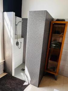 baño con ducha y puerta de cristal en Bed and Breakfast Juliana en Eindhoven
