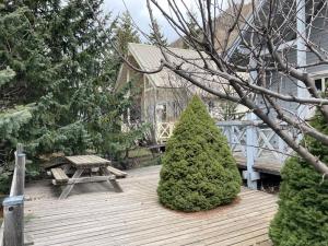 eine Holzterrasse mit zwei Bäumen und einem Picknicktisch in der Unterkunft Chalet en bois à la Foux d'Allos in Allos