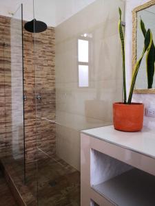 a bathroom with a shower and a potted plant at Hotel Mulato in El Colegio