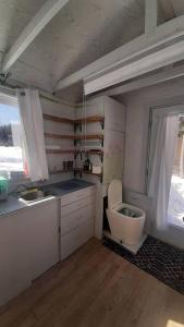 una pequeña cocina con lavabo y aseo en La Rikiki du petit ruisseau, en Mandeville