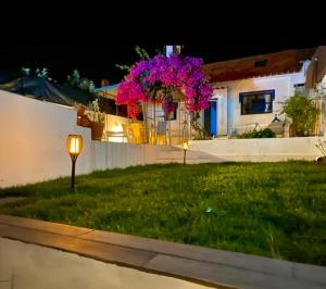 São Francisco da Serra的住宿－Buganvilla Alentejo，院子里晚上有紫色花的房子