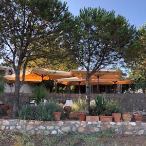 a restaurant with orange umbrellas and some plants at Akvaryum Hotel in Bozcaada
