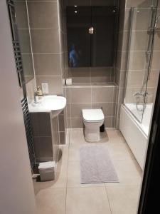 a bathroom with a toilet and a sink and a shower at Canal View 1 Bed Apartment in Zone 1 in London
