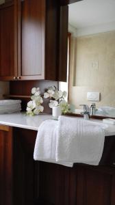 マドンナ・ディ・カンピリオにあるResidenza Caola Sant'Antonio Mavignolaの- キッチンカウンター(シンク、白いタオル付)