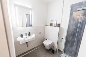 a bathroom with a toilet and a sink and a shower at Hökis-Zimmervermietung 5 in Brande-Hörnerkirchen