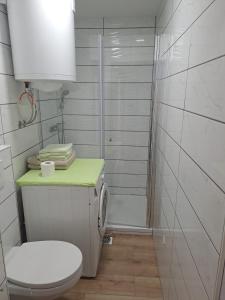 um banheiro branco com vaso sanitário e chuveiro em Apartment Danica em Kranjska Gora