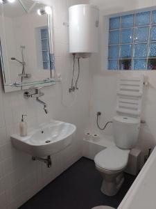 ザコパネにあるTrapezの白いバスルーム(トイレ、シンク付)