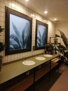 Televiisor ja/või meelelahutuskeskus majutusasutuses VTZ The Botanic Hostel
