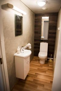 ein Bad mit einem Waschbecken und einem WC in der Unterkunft Papiniidu Studio Apartments in Pärnu