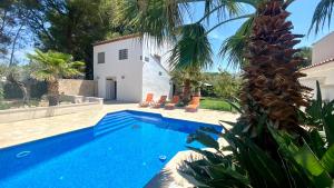 Fotografie z fotogalerie ubytování VILLA ANCORA v destinaci Calafat