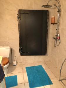 a bathroom with a shower with a black door and two blue mats at LIMOUX RIVERSIDE GARDENs in Limoux