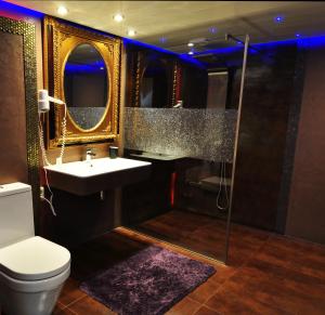 La salle de bains est pourvue de toilettes, d'un lavabo et d'une douche. dans l'établissement Pension & Spa de Watertoren, à Zandvoort