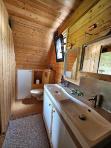 a bathroom with a sink and a toilet at LOGIS LAS CROZAS La Cocotte in Vernines