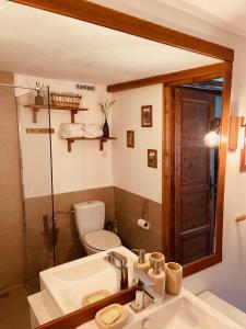 bagno con lavandino, servizi igienici e specchio di A Házikó - Cottage a Vonyarcvashegy