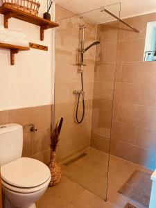 a bathroom with a toilet and a glass shower at A Házikó - Cottage in Vonyarcvashegy