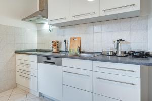 Kuchyň nebo kuchyňský kout v ubytování Residenz unter den Linden Specht