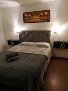 1 dormitorio con 1 cama y una pintura en la pared en VidaNatural, en Santiago