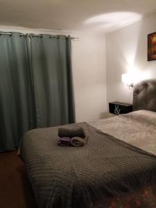 1 dormitorio con 1 cama con cortina verde en VidaNatural, en Santiago