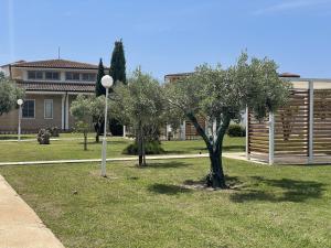 a group of trees in a yard next to a building at Verter Home Resort in Ovile la Marina