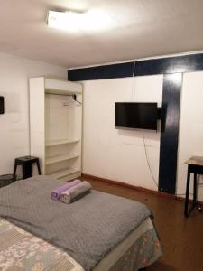 a bedroom with a bed and a flat screen tv at VidaNatural in Santiago