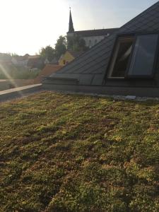 Vonkajšia záhrada v ubytovaní Apartments Marinka Litomyšl