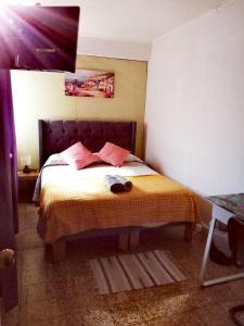 1 dormitorio con 1 cama con sábanas de color naranja y almohadas rosas en VidaNatural, en Santiago