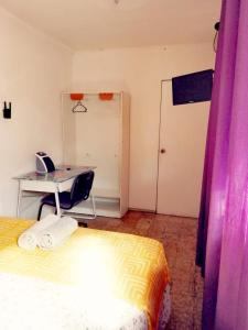 1 dormitorio con escritorio, 1 cama y escritorio en VidaNatural, en Santiago