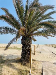 a palm tree in the middle of a beach at Cozy 2-Bedroom Serviced Apartment with Netflix in Puerto de Sagunto