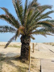 Spiaggia vicina o nei dintorni dell'appartamento