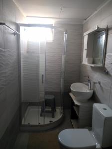 a bathroom with a shower and a toilet and a sink at Hotel Pyrgos in Kounoupidhianá